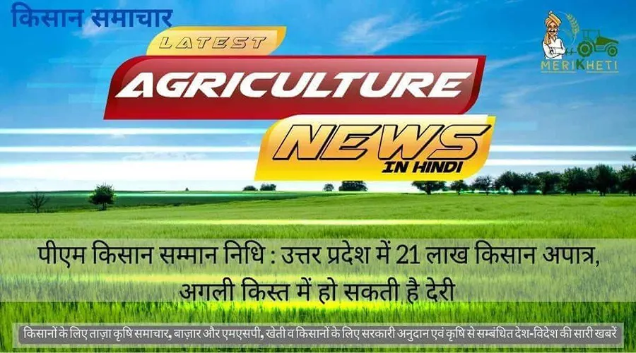 पीएम किसान सम्मान निधि : उत्तर प्रदेश में 21 लाख किसान अपात्र, अगली किस्त में हो सकती है देरी