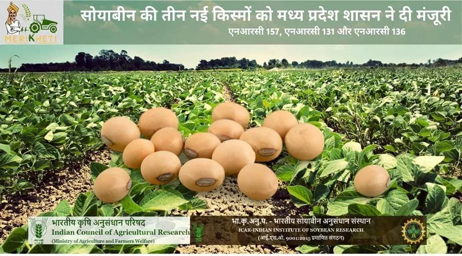 सोयाबीन की तीन नई किस्मों को मध्य प्रदेश शासन ने दी मंजूरी