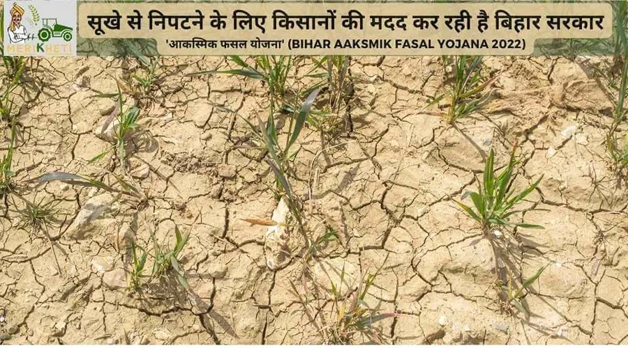 सूखे से निपटने के लिए किसानों की मदद कर रही है बिहार सरकार