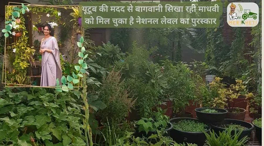 यूटूब की मदद से बागवानी सिखा रही माधवी को मिल चुका है नेशनल लेवल का पुरस्कार
