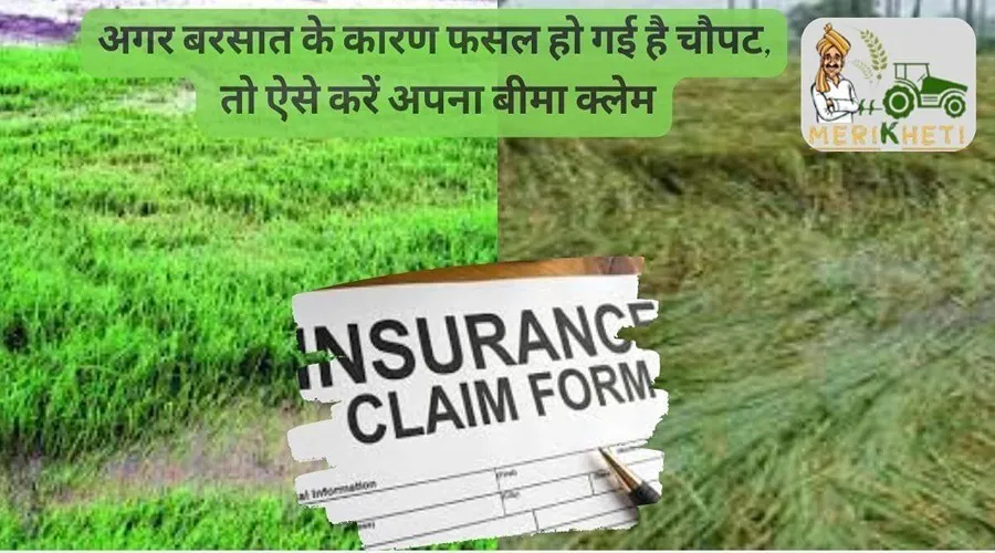 अगर बरसात के कारण फसल हो गई है चौपट, तो ऐसे करें अपना बीमा क्लेम