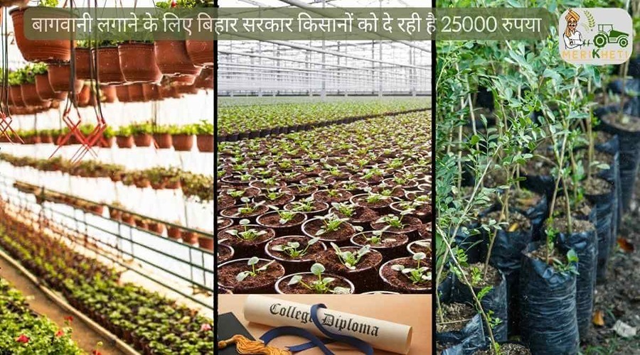 बागवानी लगाने के लिए बिहार सरकार किसानों को दे रही है 25000 रुपया