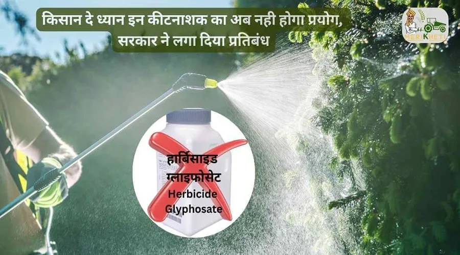 किसान दे ध्यान इन कीटनाशक का अब नही होगा प्रयोग, सरकार ने लगा दिया प्रतिबंध