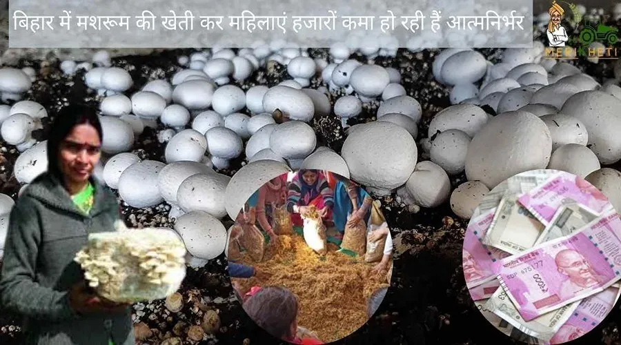 बिहार में मशरूम की खेती कर महिलाएं हजारों कमा हो रही हैं आत्मनिर्भर