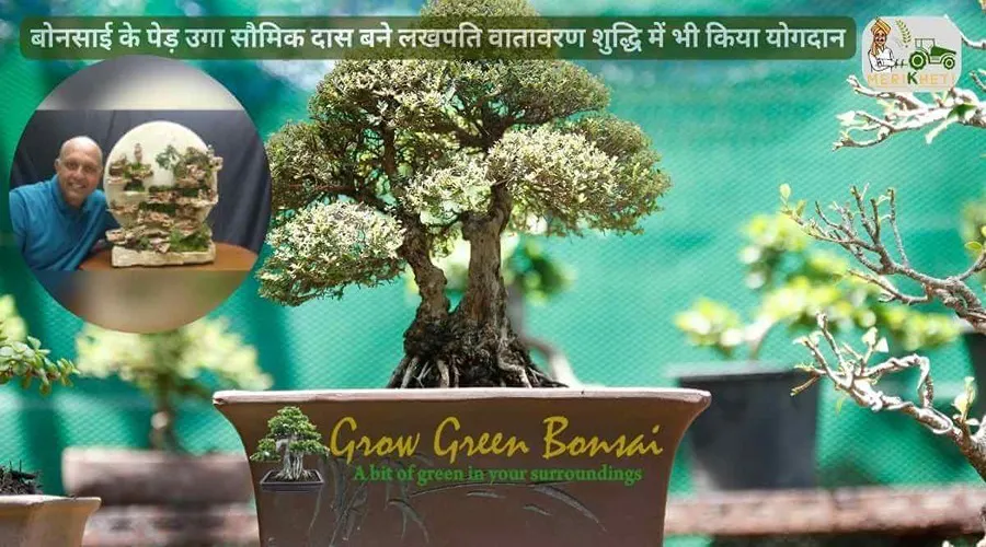 बोनसाई के पेड़ उगा सौमिक दास बने लखपति वातावरण शुद्धि में भी किया योगदान