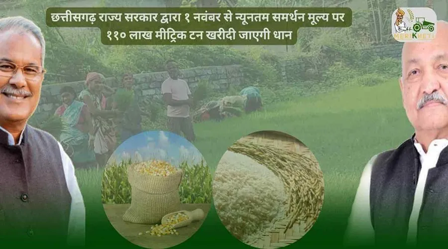 छत्तीसगढ़ राज्य सरकार द्वारा १ नवंबर से न्यूनतम समर्थन मूल्य पर ११० लाख मीट्रिक टन खरीदी जाएगी धान