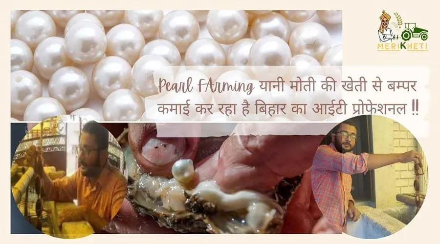 मोती की खेती से बम्पर कमाई कर रहा है बिहार का आईटी प्रोफेशनल