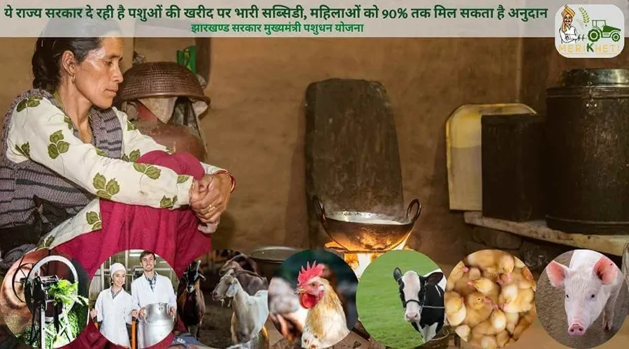 ये राज्य सरकार दे रही है पशुओं की खरीद पर भारी सब्सिडी, महिलाओं को 90% तक मिल सकता है अनुदान