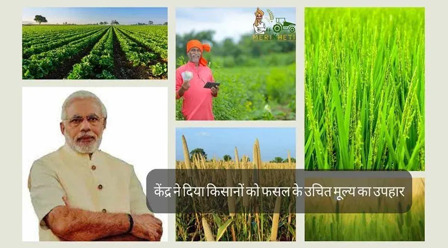 केंद्र ने दिया किसानों को फसल के उचित मूल्य का उपहार