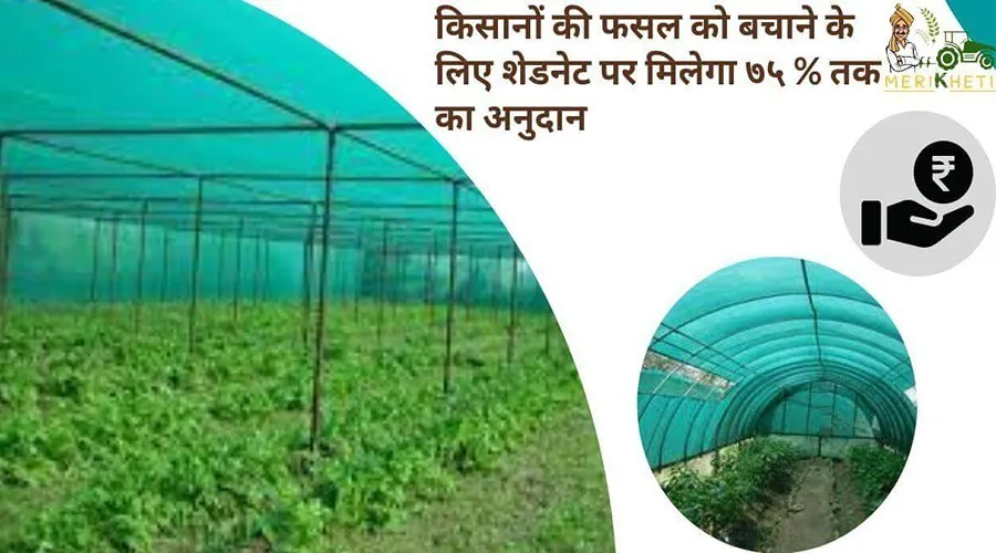 किसानों की फसल को बचाने के लिए शेडनेट पर मिलेगा ७५% तक का अनुदान