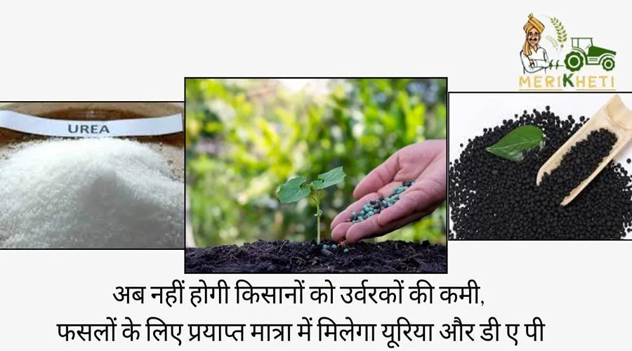 अब नहीं होगी किसानों को उर्वरकों की कमी, फसलों के लिए प्रयाप्त मात्रा में मिलेगा यूरिया और डी ए पी