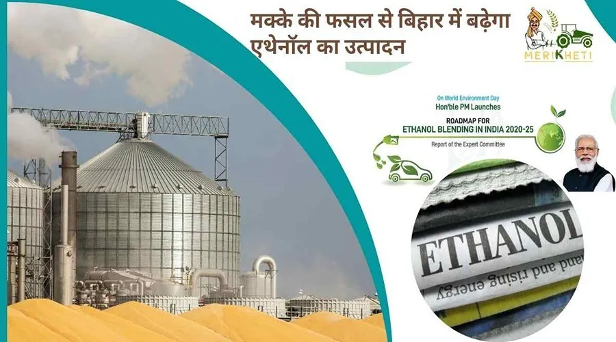 मक्के की फसल से बिहार में बढ़ेगा एथेनॉल का उत्पादन
