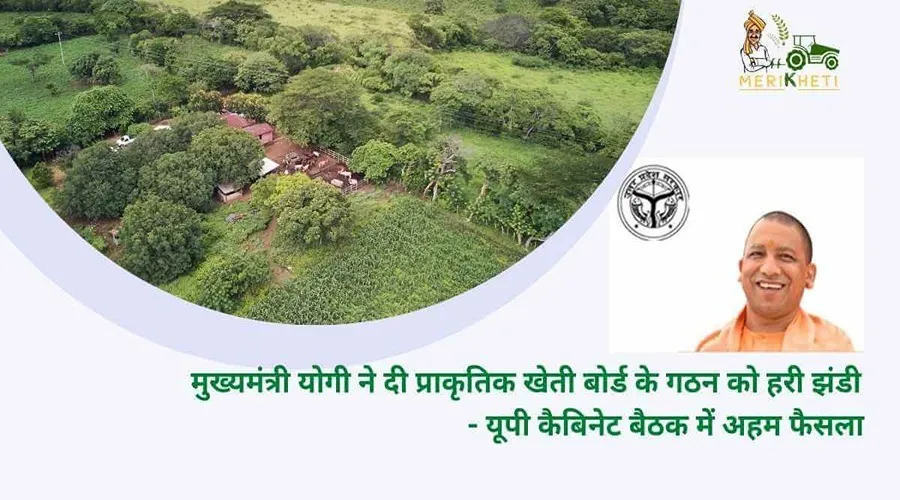 मुख्यमंत्री योगी ने दी प्राकृतिक खेती बोर्ड के गठन को हरी झंडी - यूपी कैबिनेट बैठक में अहम फैसला
