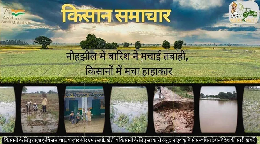नौहझील में बारिश ने मचाई तबाही, किसानों में मचा हाहाकार