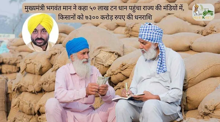 मुख्यमंत्री भगवंत मान ने कहा ५० लाख टन धान पहुंचा राज्य की मंडियों में, किसानों को ७३०० करोड़ रुपए की धनराशि