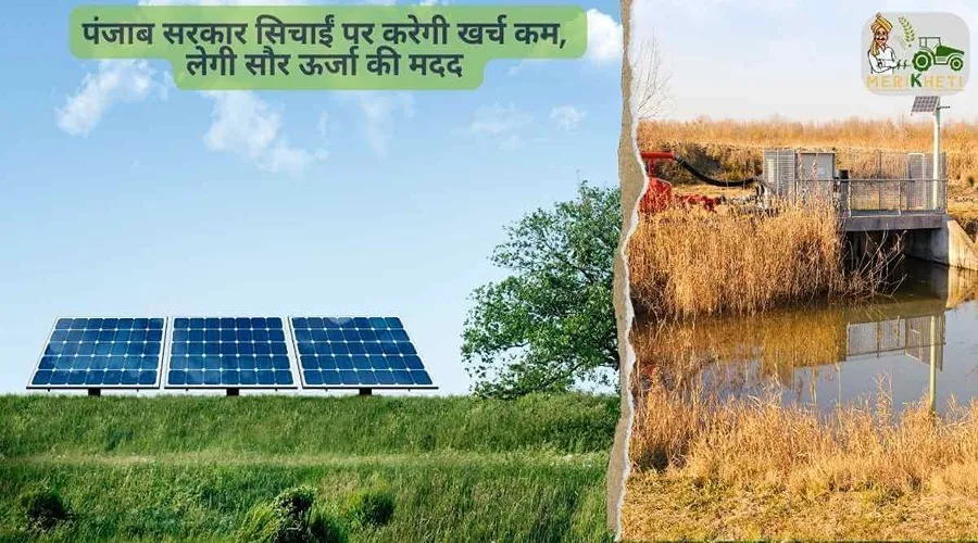 पंजाब सरकार सिचाईं पर करेगी खर्च कम, लेगी सौर ऊर्जा की मदद