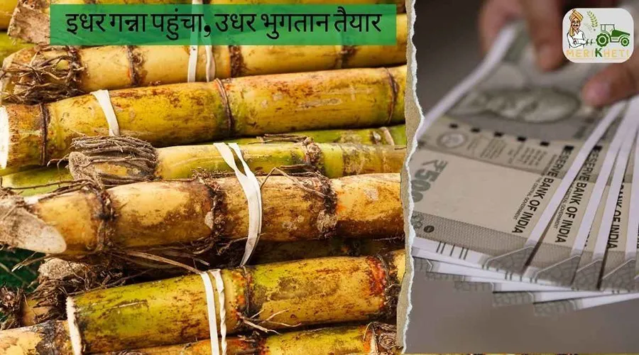 इधर गन्ना पहुंचा, उधर भुगतान तैयार
