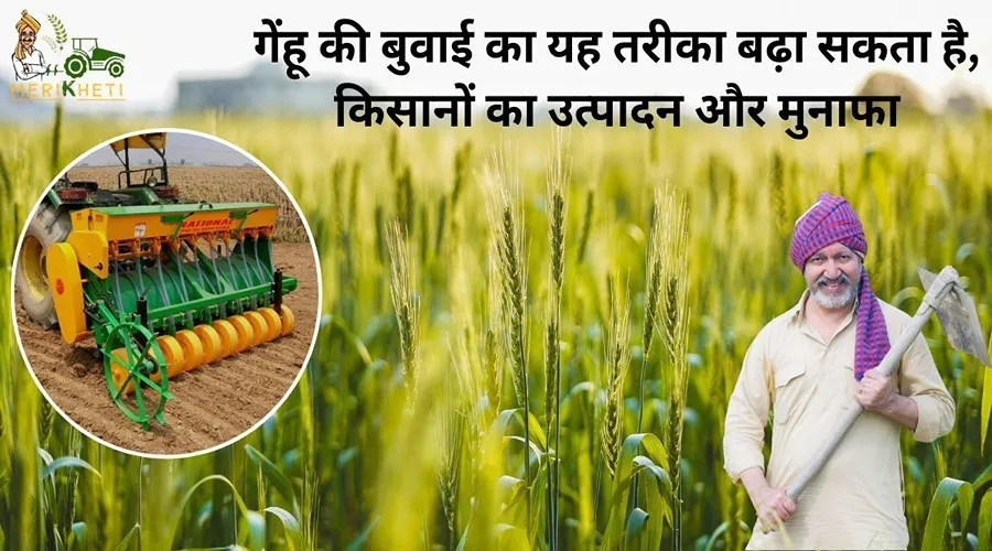 गेंहू की बुवाई का यह तरीका बढ़ा सकता है, किसानों का उत्पादन और मुनाफा