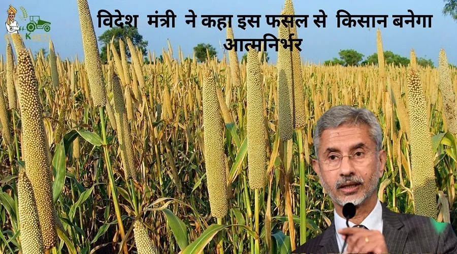 देश को आत्मनिर्भर बनाने के लिए है इस फसल की खेती जरूरी विदेश मंत्री ने कहा