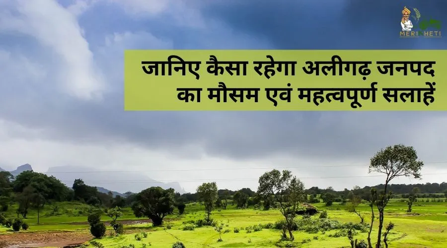 जानिए कैसा रहेगा अलीगढ़ जनपद का मौसम एवं महत्वपूर्ण सलाहें
