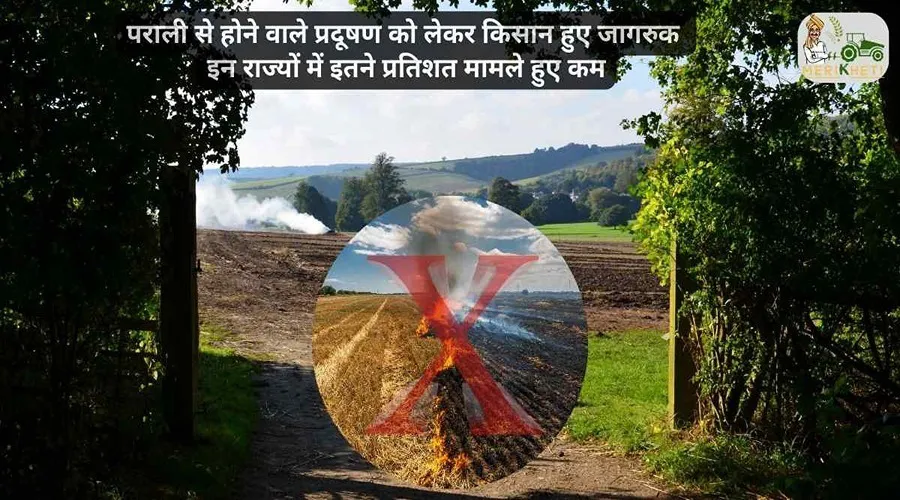 पराली से होने वाले प्रदूषण को लेकर किसान हुए जागरुक इन राज्यों में इतने प्रतिशत मामले हुए कम