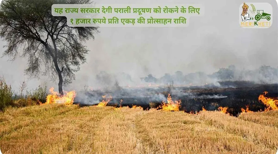 यह राज्य सरकार देगी पराली प्रदूषण को रोकने के लिए १ हजार रुपये प्रति एकड़ की प्रोत्साहन राशि