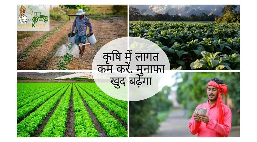कृषि में लागत कम करें, मुनाफा खुद बढ़ेगा