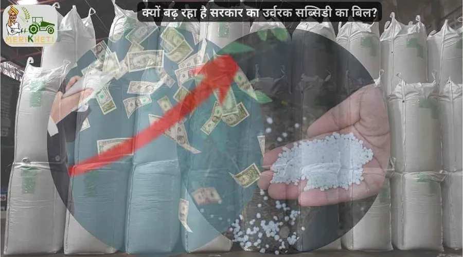 क्यों बढ़ रहा है सरकार का उर्वरक सब्सिडी का बिल?