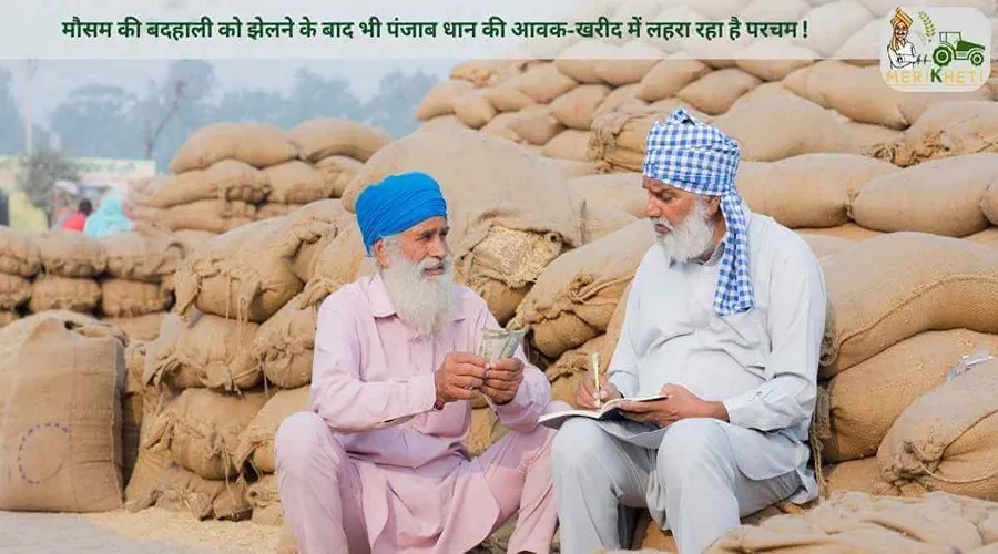 मौसम की बदहाली को झेलने के बाद भी पंजाब धान की आवक-खरीद में लहरा रहा है परचम !