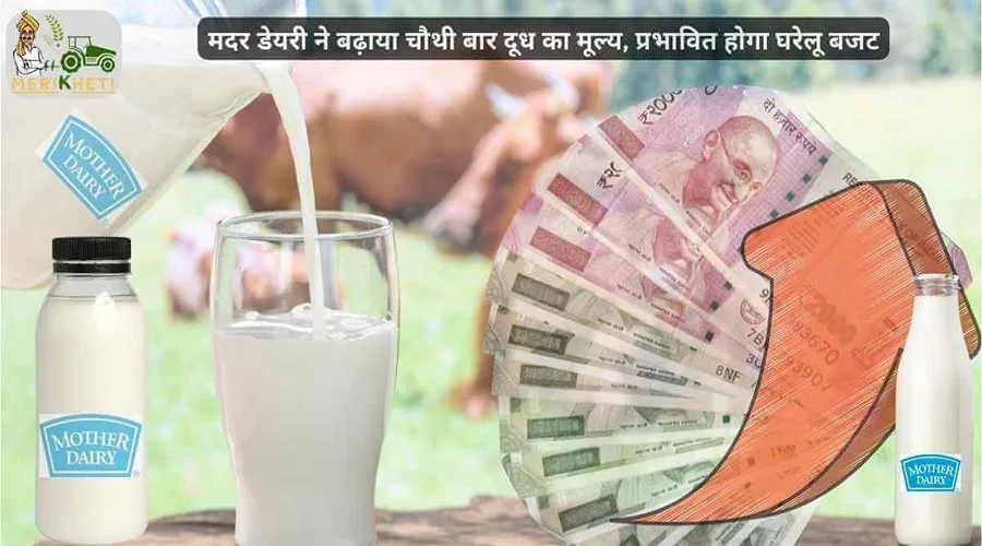 मदर डेयरी ने बढ़ाया चौथी बार दूध का मूल्य, प्रभावित होगा घरेलू बजट