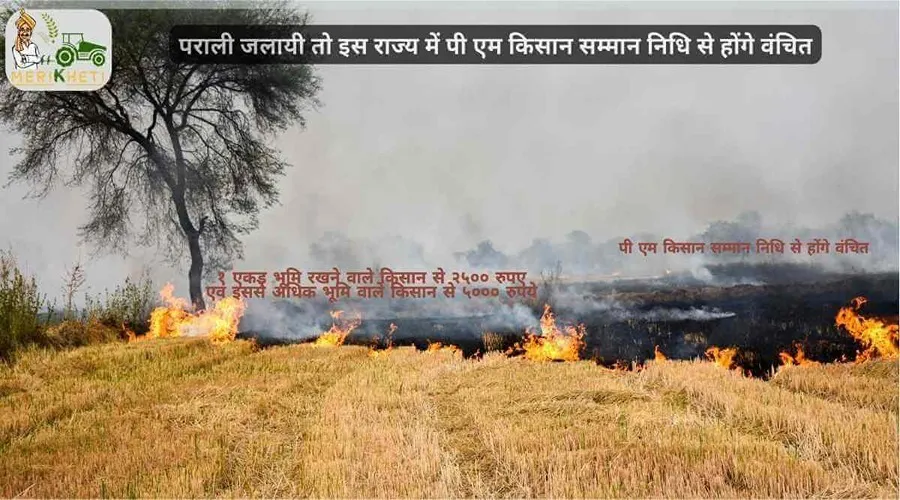 पराली जलायी तो इस राज्य में पी एम किसान सम्मान निधि से होंगे वंचित