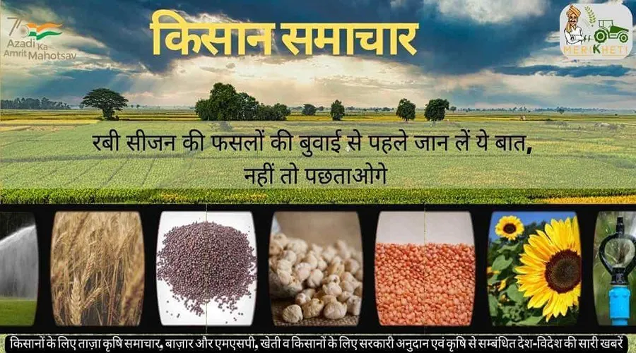 रबी सीजन की फसलों की बुवाई से पहले जान लें ये बात, नहीं तो पछताओगे