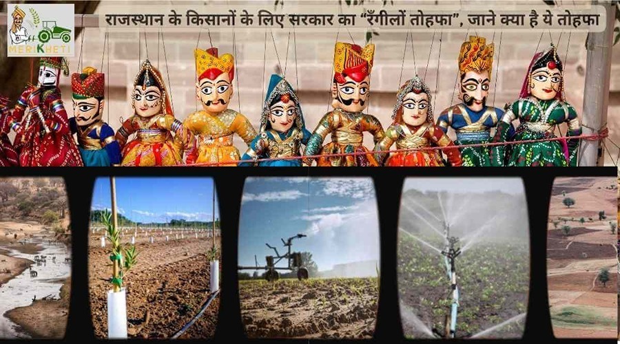 राजस्थान के किसानों के लिए सरकार का “रँगीलों तोहफा”, जाने क्या है ये तोहफा