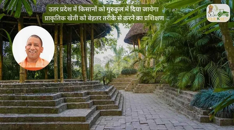 उतर प्रदेश में किसानों को गुरुकुल में दिया जायेगा प्राकृतिक खेती को बेहतर तरीके से करने का प्रशिक्षण