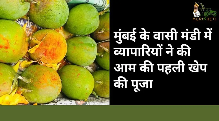 मुंबई के वासी मंडी में व्यापारियों ने की आम की पहली खेप की पूजा