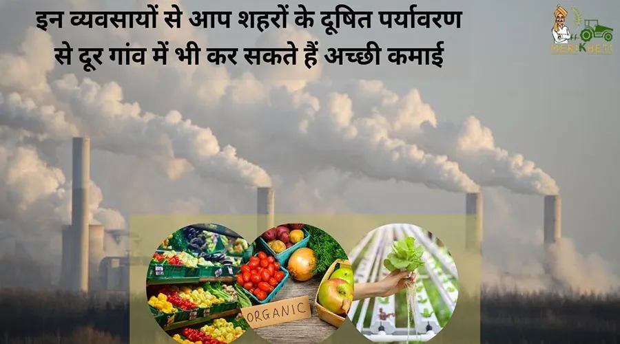 इन व्यवसायों से आप शहरों के दूषित पर्यावरण से दूर गांव में भी कर सकते हैं अच्छी कमाई