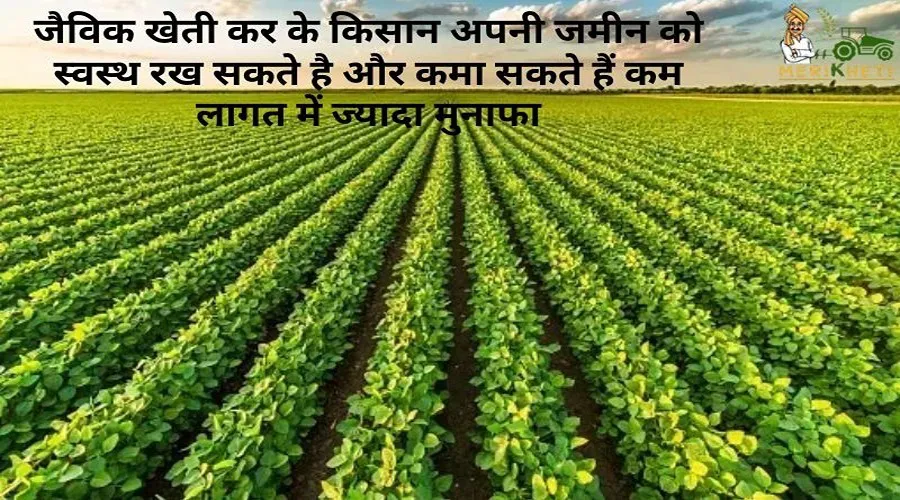 जैविक खेती कर के किसान अपनी जमीन को स्वस्थ रख सकते है और कमा सकते हैं कम लागत में ज्यादा मुनाफा