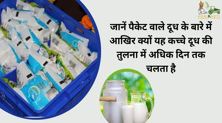 जानें पैकेट वाले दूध के बारे में आखिर क्यों यह कच्चे दूध की तुलना में अधिक दिन तक चलता है