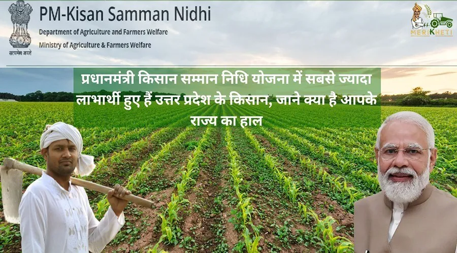 प्रधानमंत्री किसान सम्मान निधि योजना में सबसे ज्यादा लाभार्थी हुए हैं उत्तर प्रदेश के किसान, जाने क्या है आपके राज्य का हाल