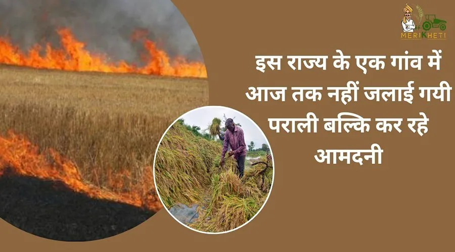 इस राज्य के एक गांव में आज तक नहीं जलाई गयी पराली बल्कि कर रहे आमदनी