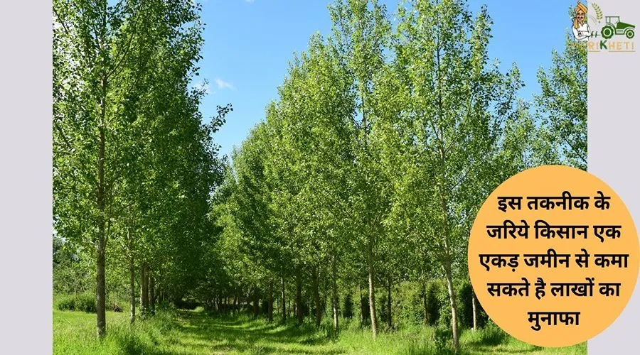 इस तकनीक के जरिये किसान एक एकड़ जमीन से कमा सकते है लाखों का मुनाफा