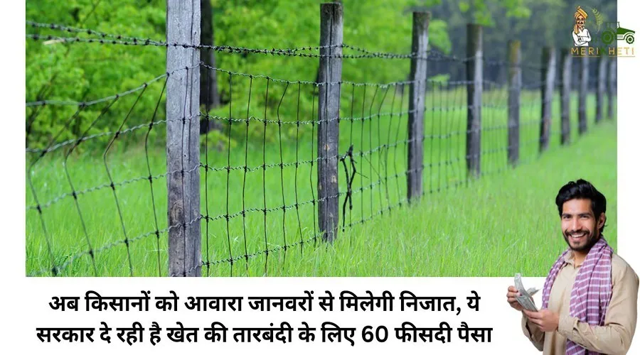अब किसानों को आवारा जानवरों से मिलेगी निजात, ये सरकार दे रही है खेत की तारबंदी के लिए 60 फीसदी पैसा