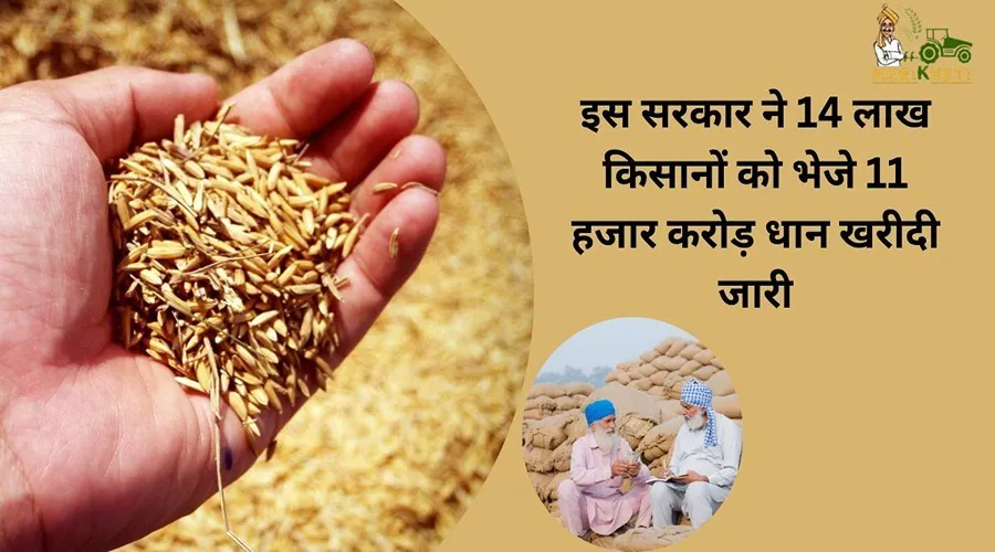 इस सरकार ने 14 लाख किसानों को भेजे 11 हजार करोड़, धान खरीदी जारी