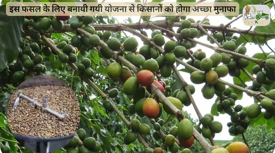 इस फसल के लिए बनायी गयी योजना से किसानों को होगा अच्छा मुनाफा