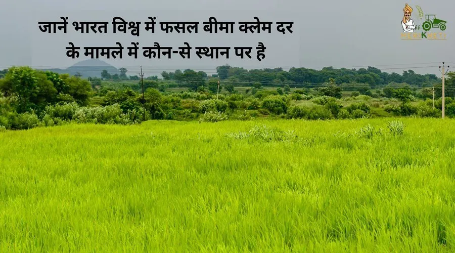 जानें भारत विश्व में फसल बीमा क्लेम दर के मामले में कौन-से स्थान पर है