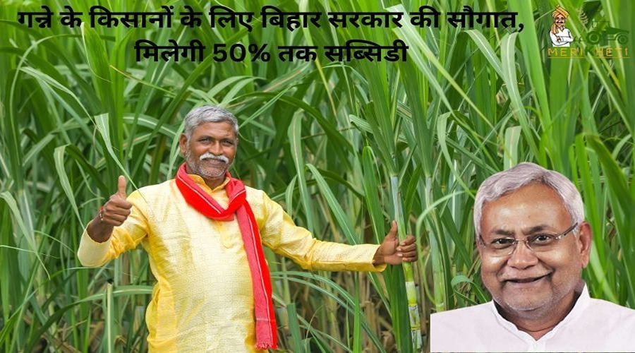 गन्ने के किसानों के लिए बिहार सरकार की सौगात, मिलेगी 50% तक सब्सिडी