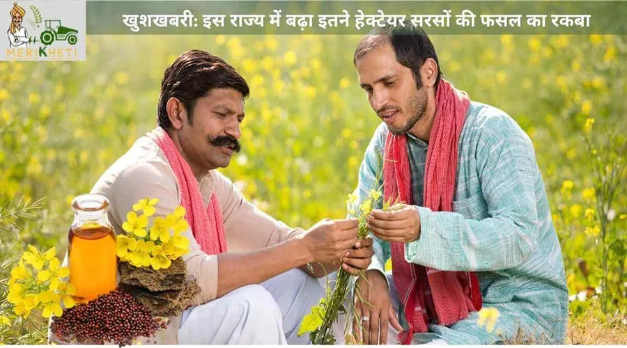 खुशखबरी: इस राज्य में बढ़ा इतने हेक्टेयर सरसों की फसल का रकबा