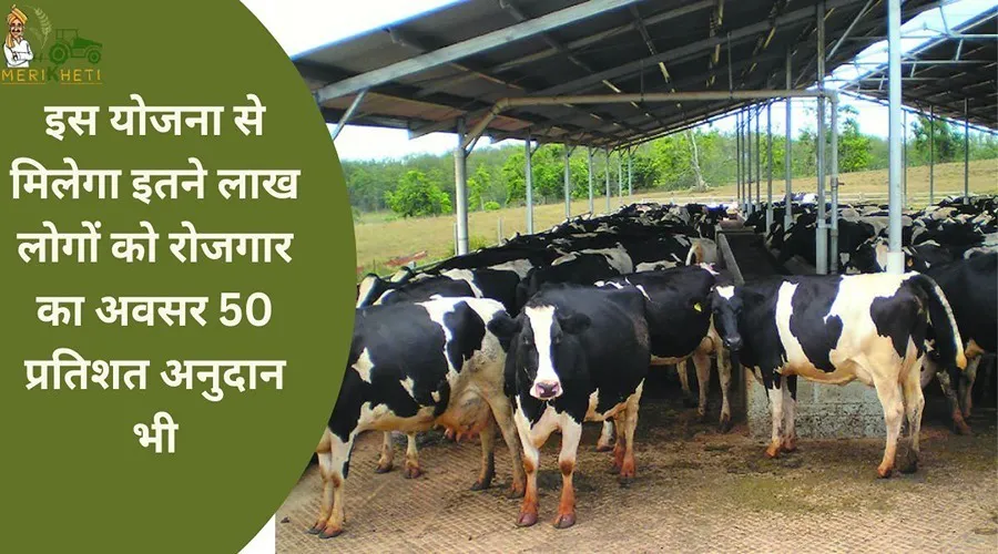 इस योजना से मिलेगा इतने लाख लोगों को रोजगार का अवसर 50 प्रतिशत अनुदान भी