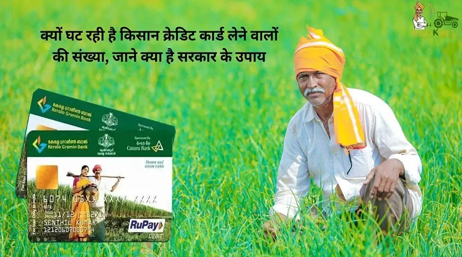 क्यों घट रही है किसान क्रेडिट कार्ड लेने वालों की संख्या, जाने क्या है सरकार के उपाय