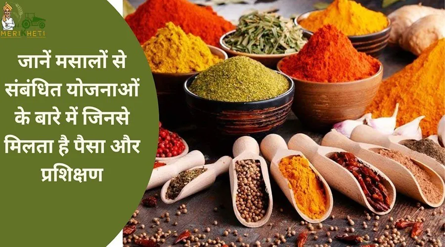 जानें मसालों से संबंधित योजनाओं के बारे में जिनसे मिलता है पैसा और प्रशिक्षण